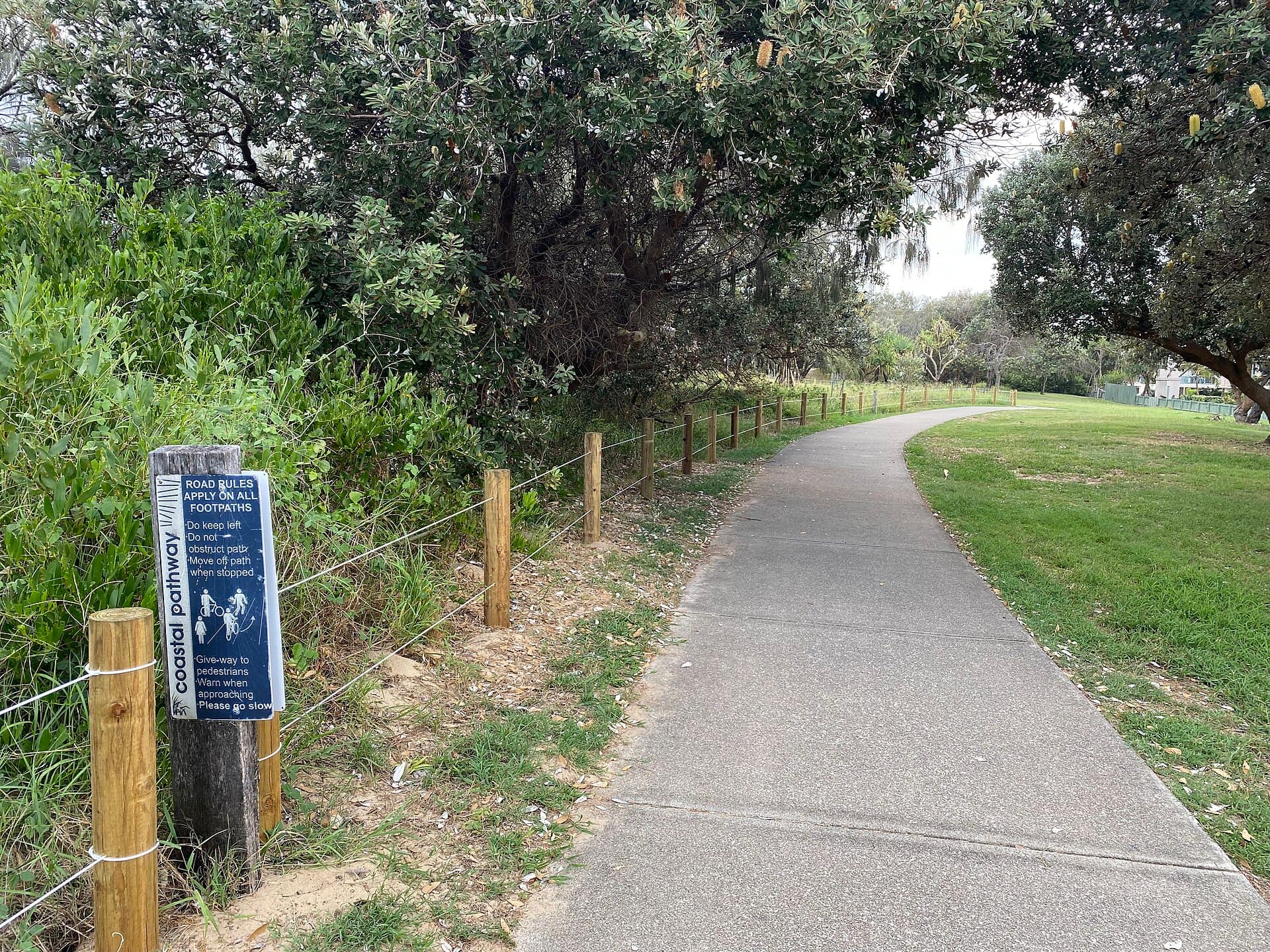 Coastal foreshore and vegetation at Buddina, Kawana Waters, Queensland