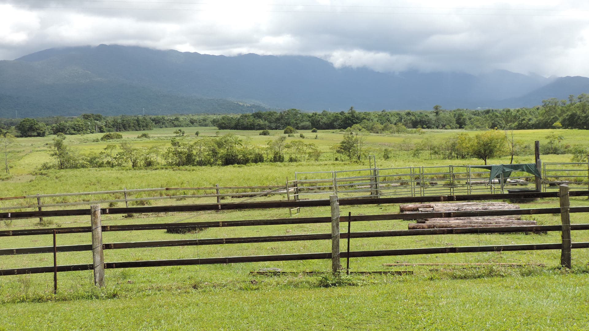Rural fences and paddocks along Kruckow Road, East Russell, Queensland