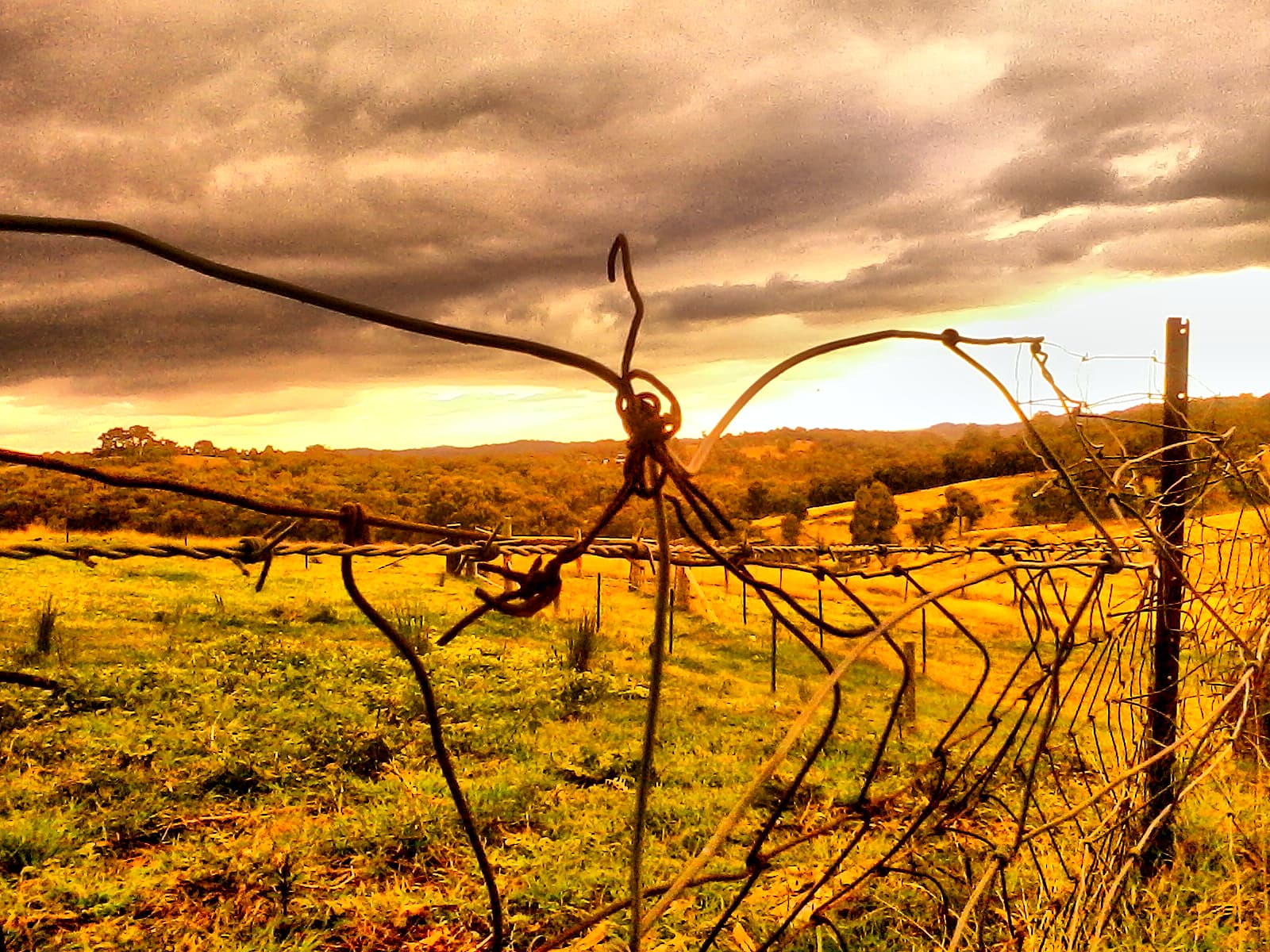 Weathered post and twisted wire farm fence at Cottle's Bridge near Melbourne