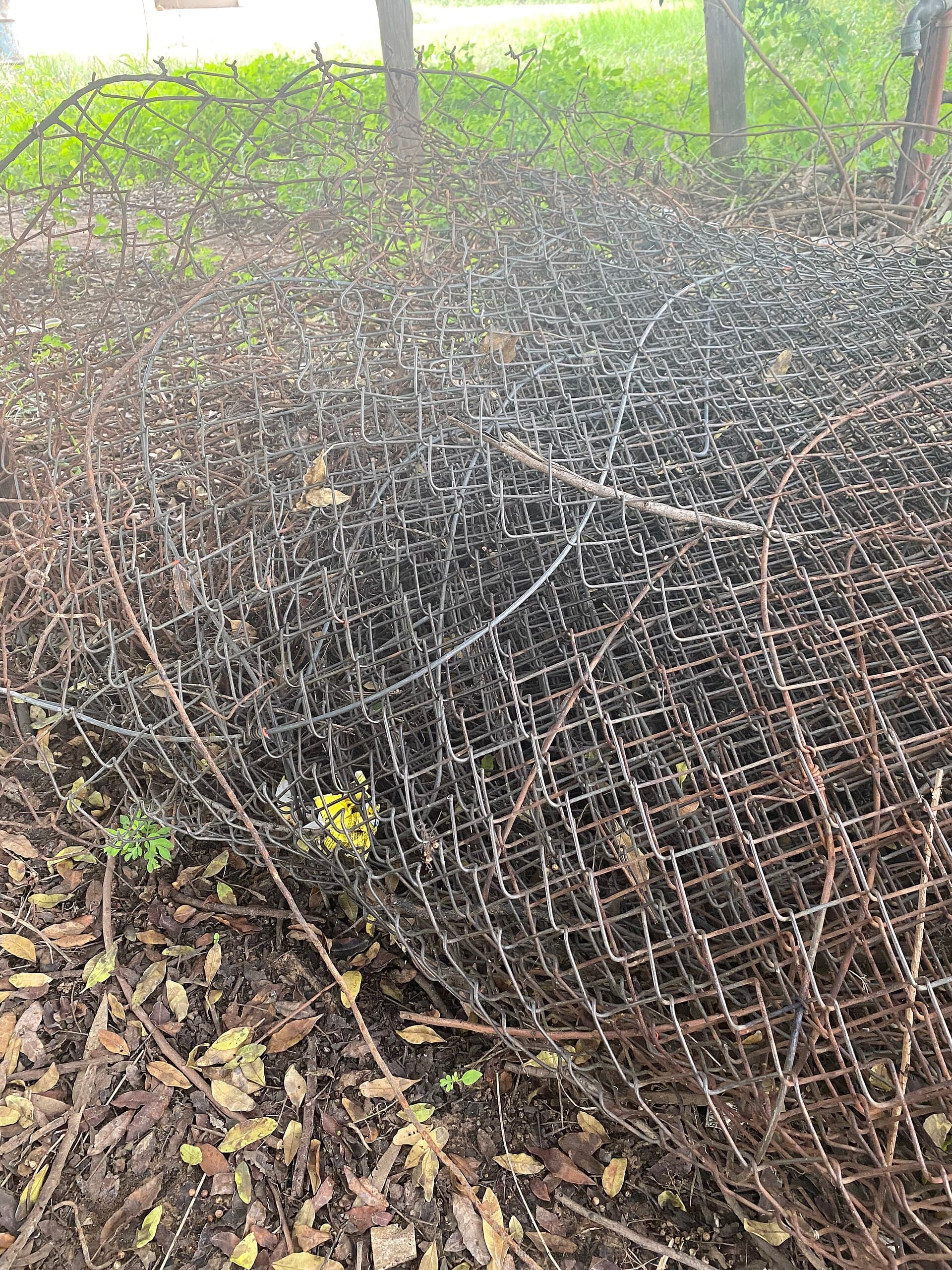 Coils of fencing wire ready for a new rural or boundary fence