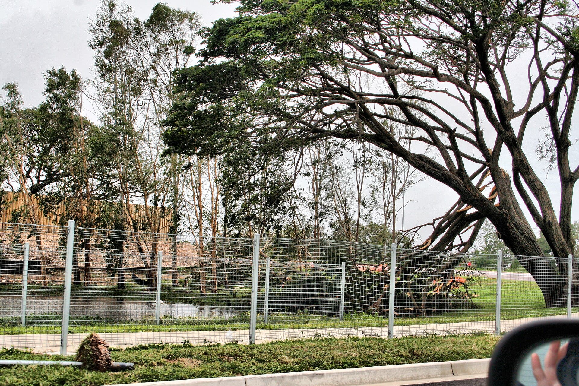 Storm-damaged suburban streetscape in Townsville after Severe Tropical Cyclone Yasi